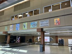 hope their art installation